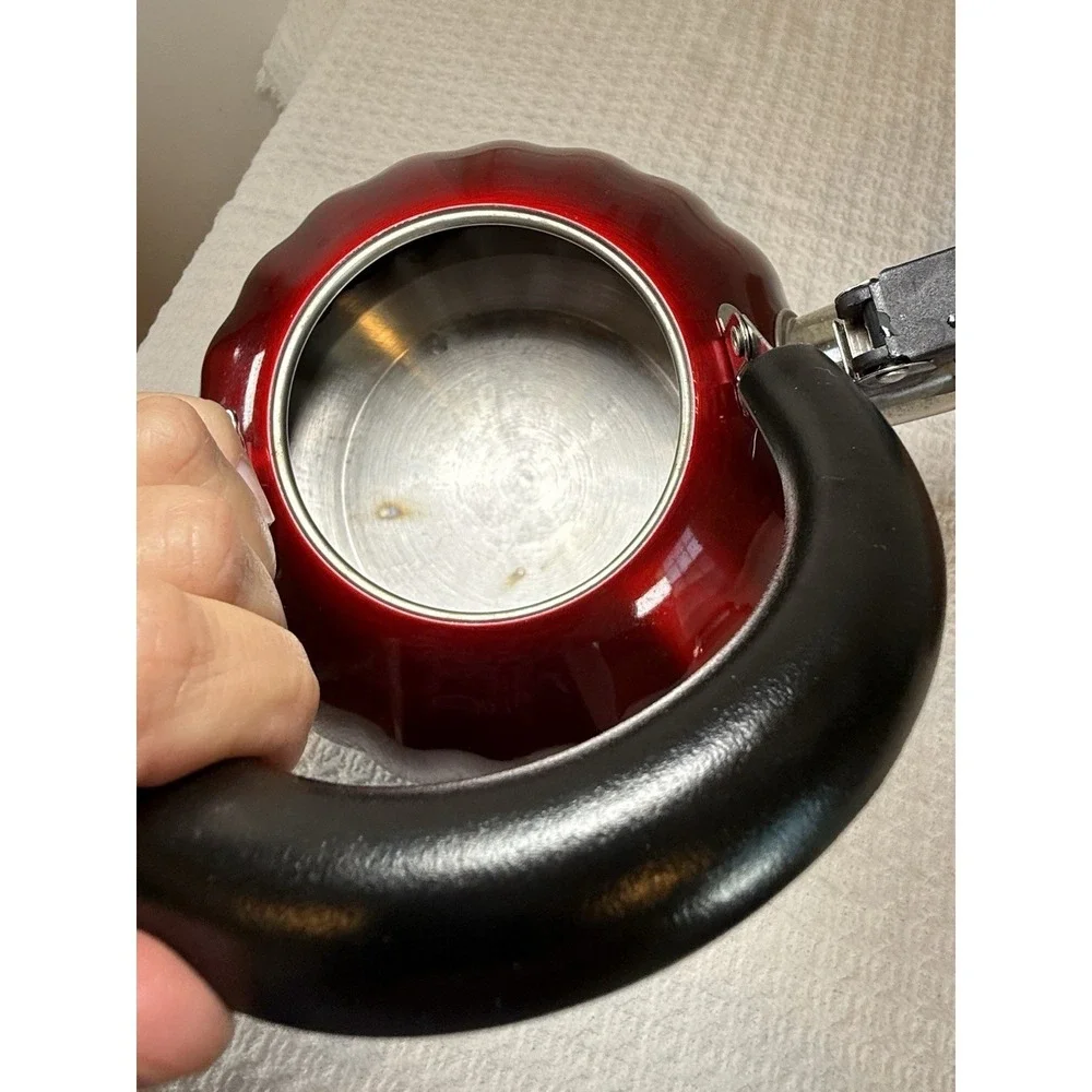 Mr. Coffee Twining 2.1 Quart Pumpkin Shaped Stainless Steel Whistling Tea